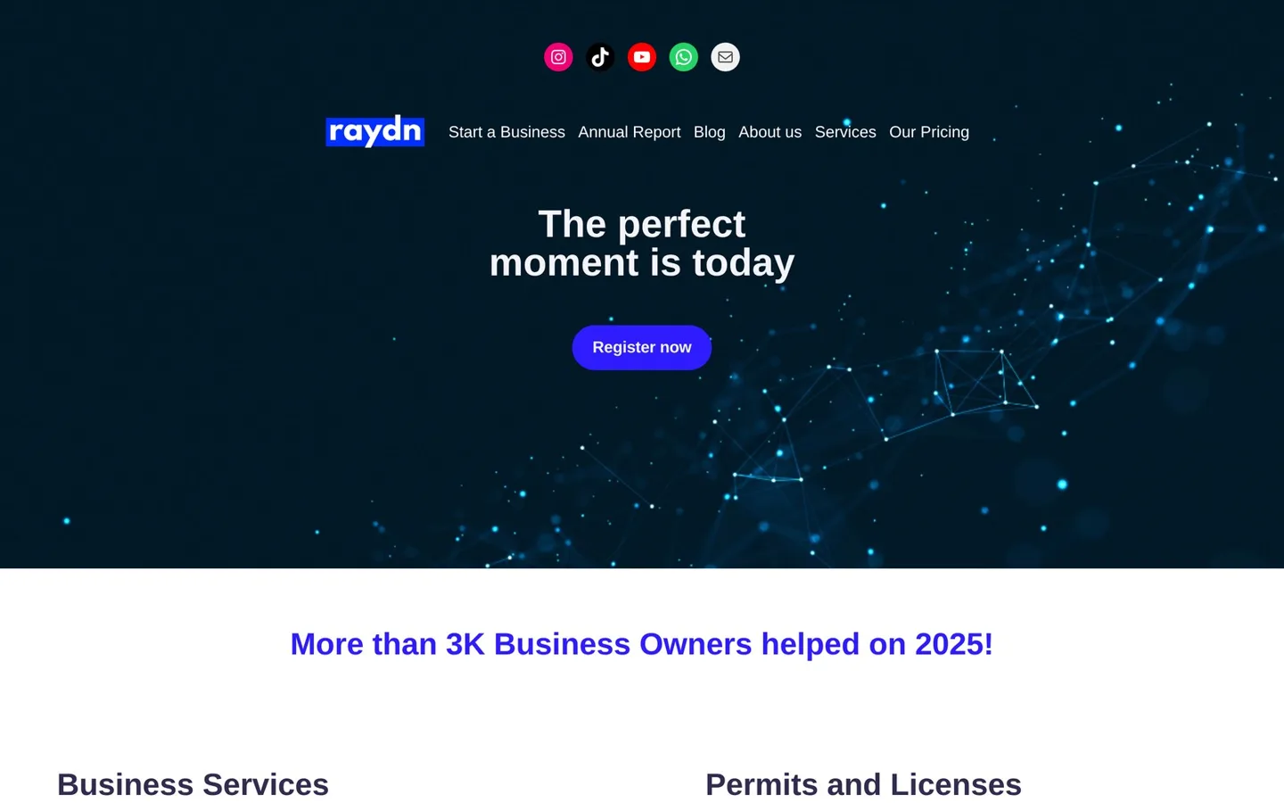 Raydn Brands website — Business Services